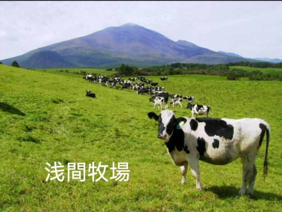 おもちゃ王国と北軽井沢の大自然を満喫できる貸別荘 Karuizava Kültér fotó